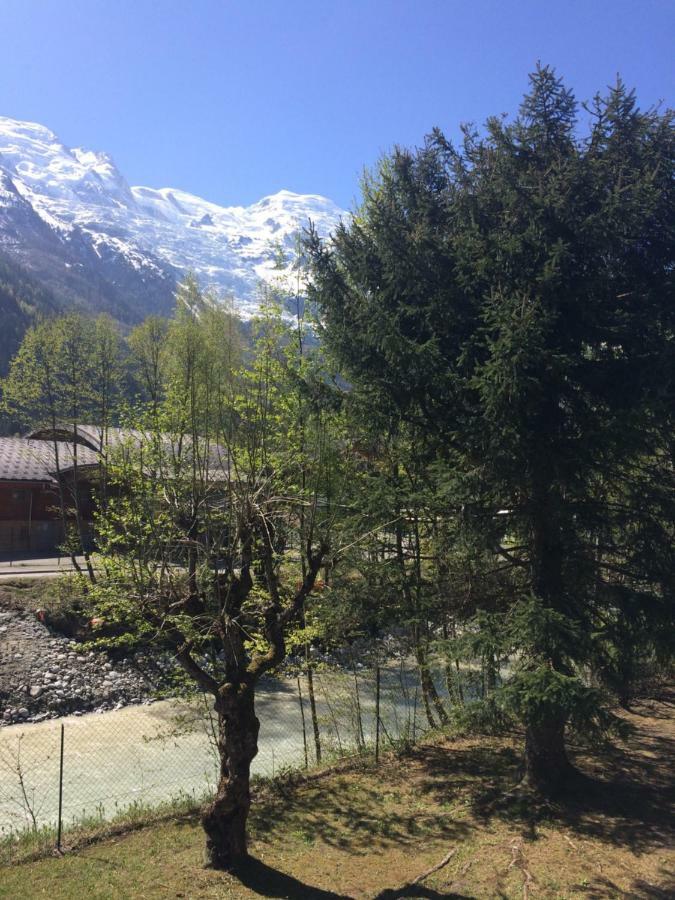 Lumineux Avec Vue Sur Le Massif Du Mont-blanc Appartement *